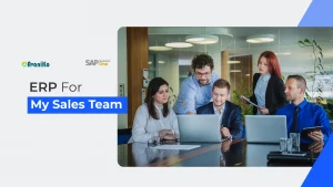 ERP For My Sales Team