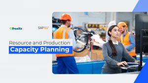 Resource and Production Capacity Planning avaniko