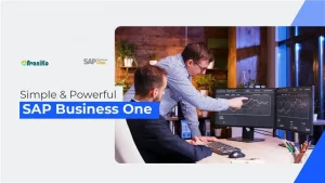 Simple Powerful – SAP Business One avaniko