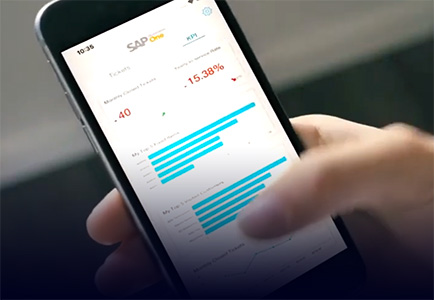 https://avaniko.kurious.in/wp-content/uploads/2021/01/sap-business-one-explainer.jpg