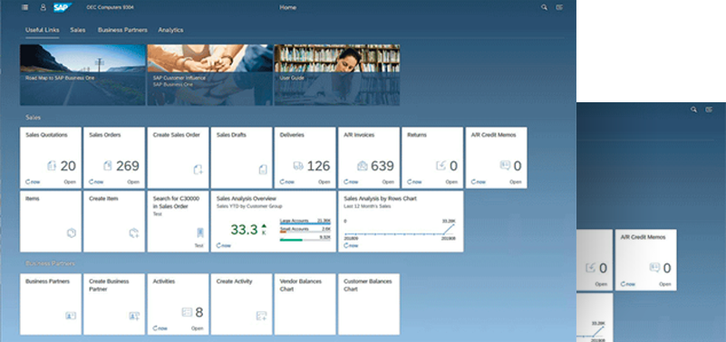 sap business one screenshot