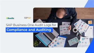 SAP Business One Audit Logs for Compliance and Auditing avaniko