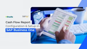 Cash Flow Report –Configuration Setup in SAP Business One
