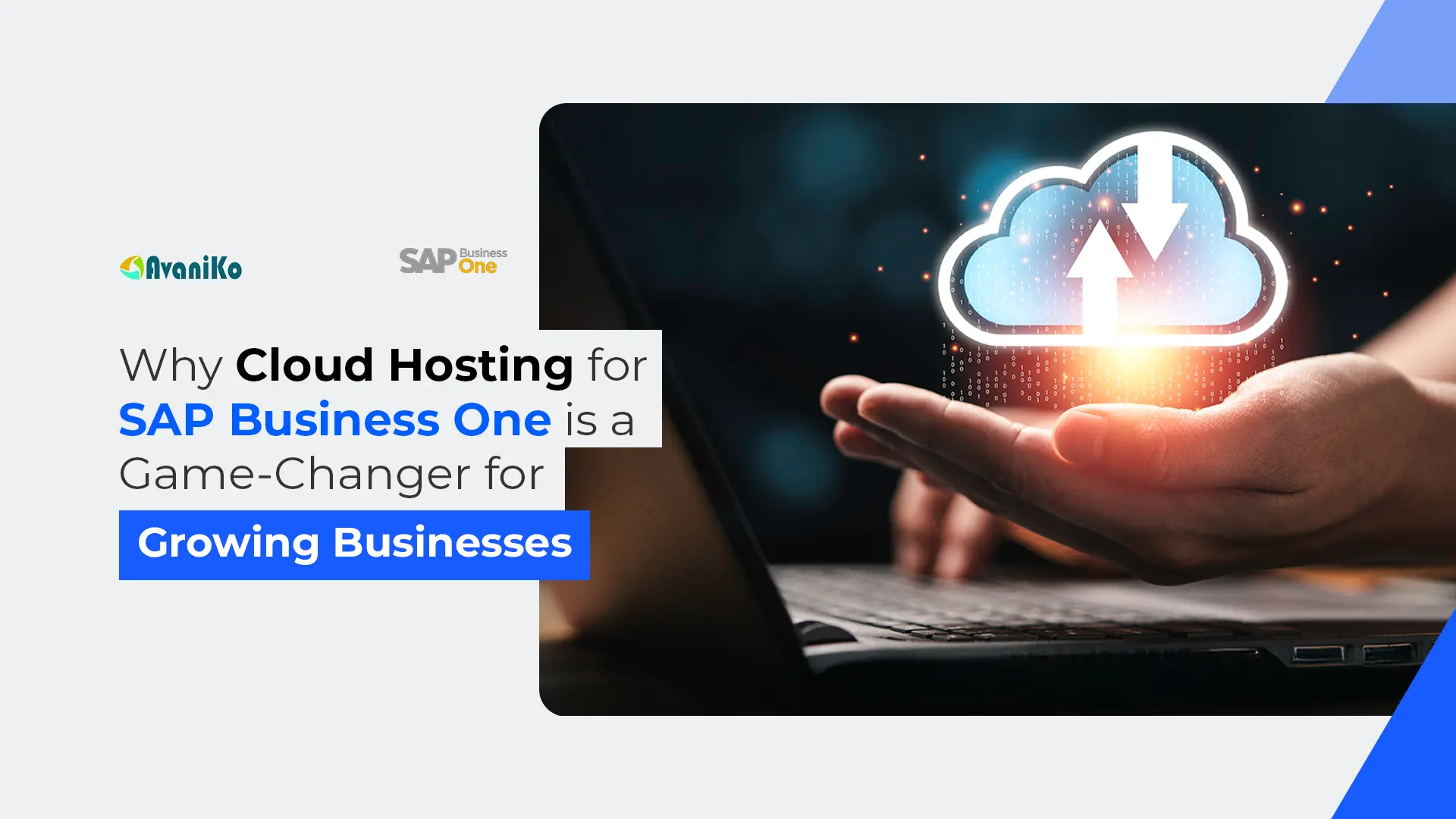 Why Cloud Hosting for SAP Business One is a Game-Changer for Growing Businesses